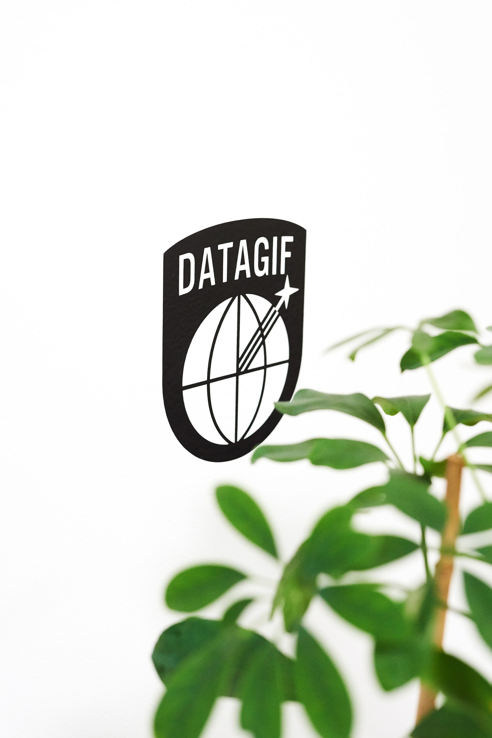 Datagif_Reportage__DSC9693_5K