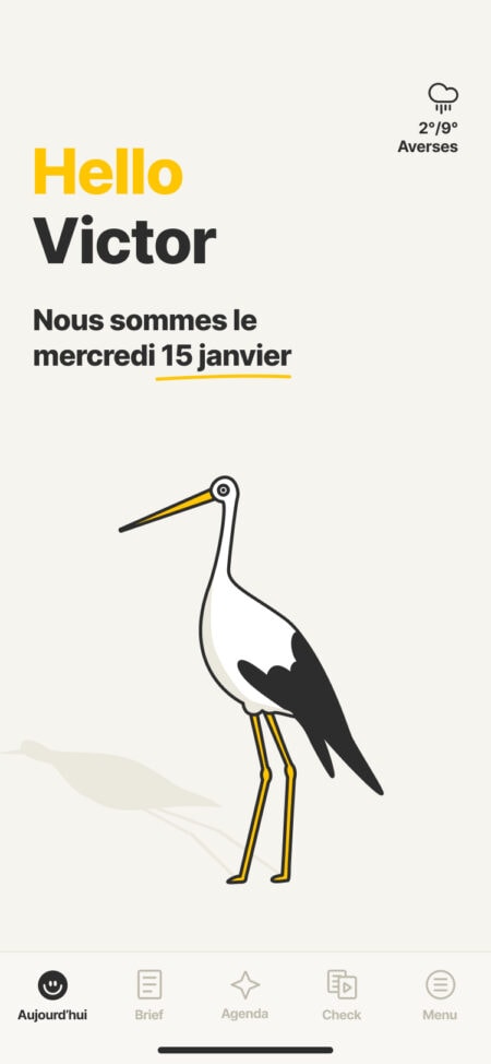 Strasbourg - Cigogne